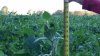 20150919_184813.jpg