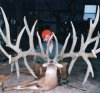 monster_trophy_deer_with_huge_rack_reverse.jpg
