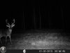 HUNT0062.jpg