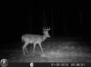 HUNT0064.jpg