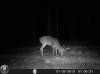 HUNT0065.jpg