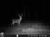 HUNT0070.jpg