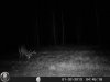 HUNT0114.jpg