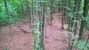 WP_20150923_17_16_57_Pro.jpg