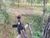 ImageUploadedByBowhunting.com Forums1443135045.613888.jpg