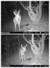 STC_0216-COLLAGE.jpg