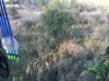 ImageUploadedByBowhunting.com Forums1443649259.647942.jpg
