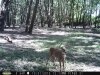 Taft Woods 10-4-15 028.jpg