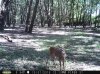 Taft Woods 10-4-15 025.jpg