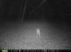 Taft Woods 10-4-15 046.jpg