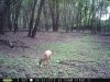 Taft Woods 10-4-15 011.jpg