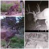 ImageUploadedByBowhunting.com Forums1444087001.248604.jpg