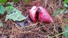 20151003_102114.jpg