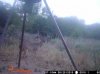ImageUploadedByBowhunting.com Forums1444356226.175715.jpg