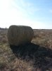 20131115_132842.jpg
