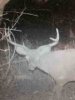 ImageUploadedByBowhunting.com Forums1444955044.612042.jpg