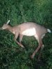 ImageUploadedByBowhunting.com Forums1445105716.499829.jpg