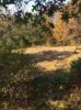 ImageUploadedByBowhunting.com Forums1445200600.288733.jpg
