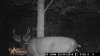 ImageUploadedByBowhunting.com Forums1445352192.179716.jpg