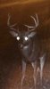 ImageUploadedByBowhunting.com Forums1445392503.925599.jpg