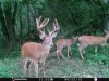 ImageUploadedByBowhunting.com Forums1445445569.933581.jpg