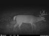 ImageUploadedByBowhunting.com Forums1445445590.346794.jpg
