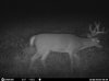 HUNT0097.jpg