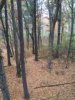 ImageUploadedByBowhunting.com Forums1445458789.766086.jpg