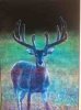ImageUploadedByBowhunting.com Forums1445529008.280805.jpg