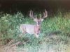 ImageUploadedByBowhunting.com Forums1445529018.201329.jpg