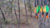 20151024_170235.jpg