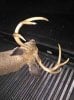 ImageUploadedByBowhunting.com Forums1445739994.877958.jpg