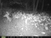 taft woods 10-25-15 008.jpg