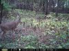 taft woods 10-25-15 014.jpg