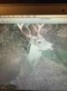 ImageUploadedByBowhunting.com Forums1445959975.533233.jpg