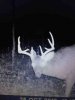ImageUploadedByBowhunting.com Forums1445961955.022541.jpg