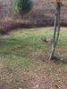 ImageUploadedByBowhunting.com Forums1445977166.485787.jpg
