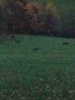 ImageUploadedByBowhunting.com Forums1445986211.602000.jpg