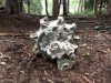 Aircraft Engine.jpg