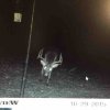 ImageUploadedByBowhunting.com Forums1446223235.662170.jpg