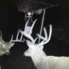 ImageUploadedByBowhunting.com Forums1446223260.874599.jpg