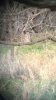 ImageUploadedByBowhunting.com Forums1446265027.419146.jpg