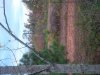 IMG_20151031_084040.jpg