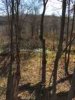 ImageUploadedByBowhunting.com Forums1446407133.018392.jpg