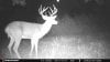 ImageUploadedByBowhunting.com Forums1446439813.611025.jpg