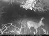 ImageUploadedByBowhunting.com Forums1446499136.421307.jpg