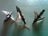 IMG00750-20110809-1815.jpg