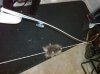 IMG00877-20110813-1937.jpg