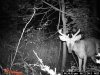 trailcampics2011 010.jpg