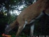 trailcampics2011 009.jpg